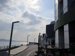 -琴岛之星摩天轮