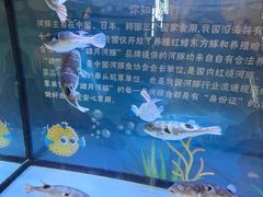-肆月河豚·淮扬菜·湘菜(华天店)