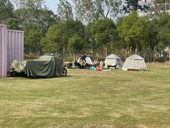 -春花秋色城市公园