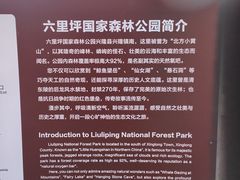 -六里坪国家森林公园