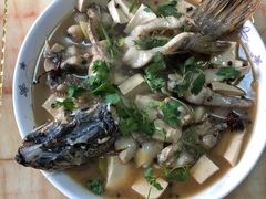 -煲来饱去冷水鱼