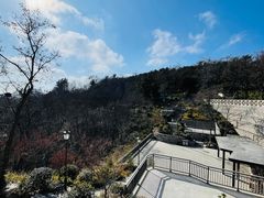 -北岭山森林公园