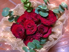 -盒马鲜生(馥邦国际店)