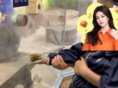 -大连圣亚海洋世界