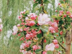 -元大都城垣遗址公园