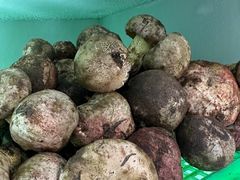-山菌美食苑(振兴路店)