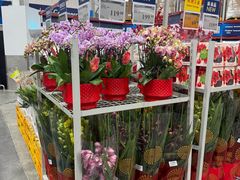 -山姆会员商店(杨桥西路店)