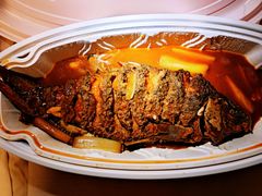 红烧黄河鲤鱼-阿五黄河大鲤鱼(纬三路店)