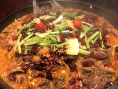 -老板恋上鱼(高新万达店)
