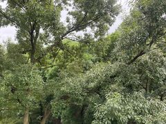 -合肥野生动物园