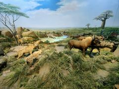 -陕西自然博物馆