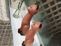 -燕庭·纯燕窝·甜品下午茶(南京西路店)