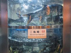 -老船舫·现做活鲜鱼馆(东郊记忆店)