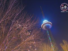 -龙塔