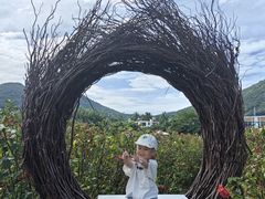 -亚龙湾国际玫瑰谷