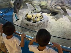 -国家自然博物馆