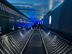 -白鹤梁水下博物馆