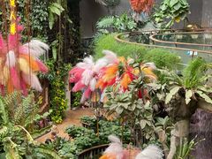 -正佳雨林生态植物园