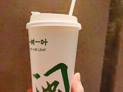 -一树一叶·福建茶档(石鼓路店)