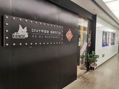 -十年猫舍·猫咪专门店(普陀店)