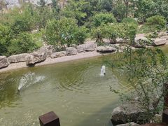 -观澜小洱海