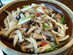 -大鸽饭(马王堆店)