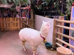 -正佳雨林生态植物园