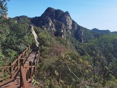 -大岭沟猕猴桃谷风景区