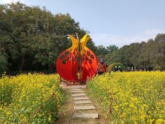 -雀儿山公园