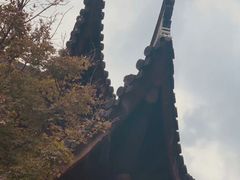 -龙华寺
