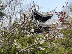 -镇江市南山风景名胜区竹林景区