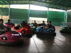 -美的鹭湖探索王国