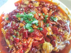 -添福来墨鱼饺子 · 海鲜东北菜(泡崖店)
