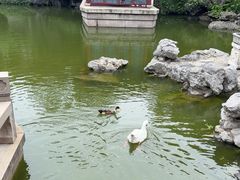 -祝家花園(伯渎港店)