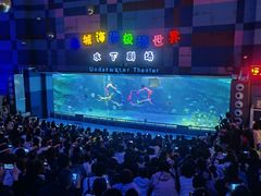 -泉城欧乐堡海洋极地世界