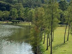 -东莞植物园