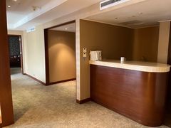 -新加坡雅庭假日酒店
