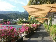 android_upload_pic-三亚亚龙湾凯莱仙人掌度假酒店