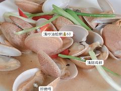 -桃源跳跳鱼