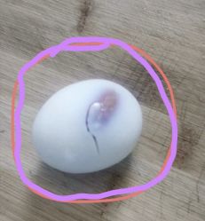 -Oasis Beauty水磨坊科技美肤中心