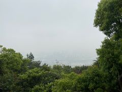 -飞凤山奥体公园