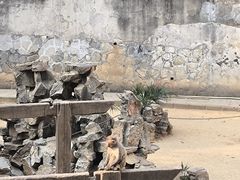 -太子山公园(园东路)