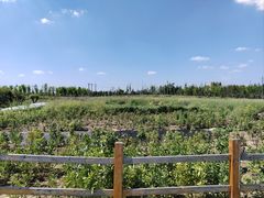 -嘉北郊野公园