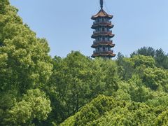 -天下玉苑