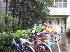 -上海科学技术职业学院