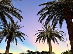 -上海玛雅海滩水公园