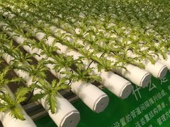 -兰陵国家农业公园