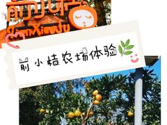 -前小桔亲子创意农场·草莓采摘·露营烧烤