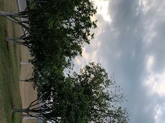 -洋湖国家湿地公园