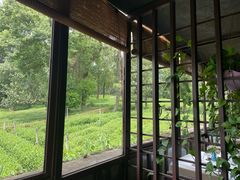 -野蔓果·山野菜(西湖景区·龙井茶田店)